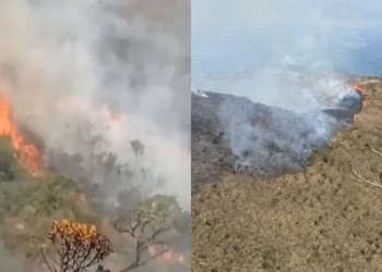 Incêndio atinge Parque da Serra do Rola-Moça em MG  • Divulgação/CBMMG