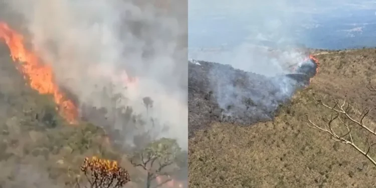 Incêndio atinge Parque da Serra do Rola-Moça em MG • Divulgação/CBMMG