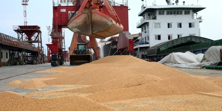 Desembarque de soja no porto de Nantong, China  • 21/08/2018REUTERS/Stringer