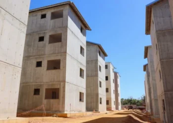 Foto: Júnior Suzuki