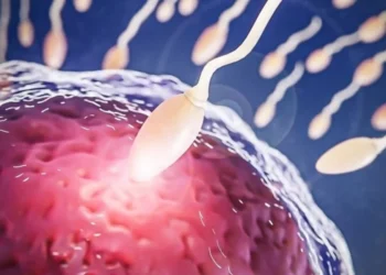 Controlar o pré-diabetes é uma estratégia importante de preservação da fertilidade e de cuidado com a saúde reprodutiva crédito: Freepik