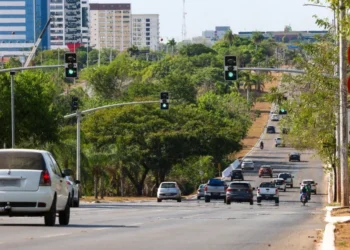 Crédito da foto: Regiane Rocha