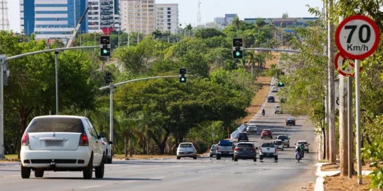 Crédito da foto: Regiane Rocha