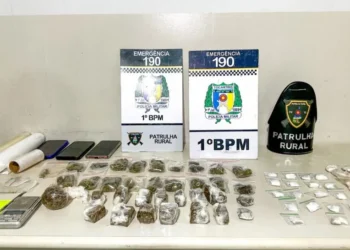Entre os materiais apreendidos, estavam 14 pinos de cocaína, 21 porções de maconha do tipo skunk, 16 tabletes de maconha (pesando 330g), 92g de maconha do tipo skunk e 26,66g de crack - Foto: 1º BPM/Ascom