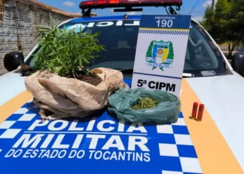Policiais da 5ªCIPM agiram rápido em Tocantinópolis e prendem homem por violência doméstica e apreende drogas - Foto: Ascom 5ª CIPM