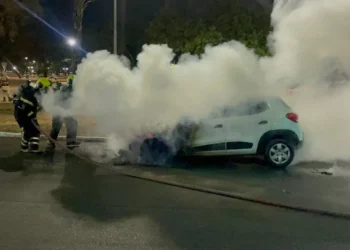 A ação rápida dos bombeiros militares evitou a propagação do fogo e garantiu a segurança da população. - Divulgação CBMTO