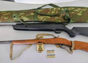 Armas e munições apreendidas durante cumprimento de mandado.