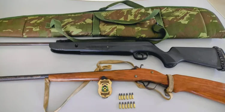 Armas e munições apreendidas durante cumprimento de mandado.