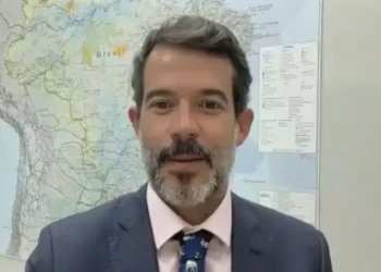 TFFF: um mecanismo inovador para conservar florestas tropicais para sempre