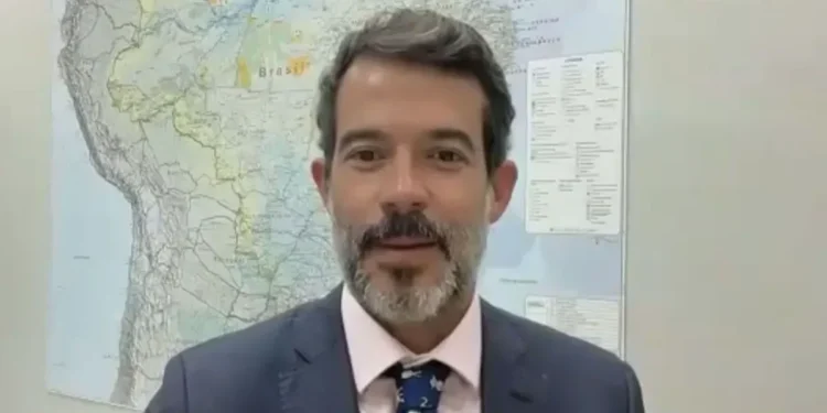 TFFF: um mecanismo inovador para conservar florestas tropicais para sempre