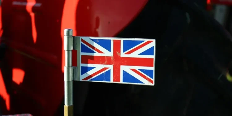 Escola internacional, bilíngue ou com inglês: entenda as diferenças