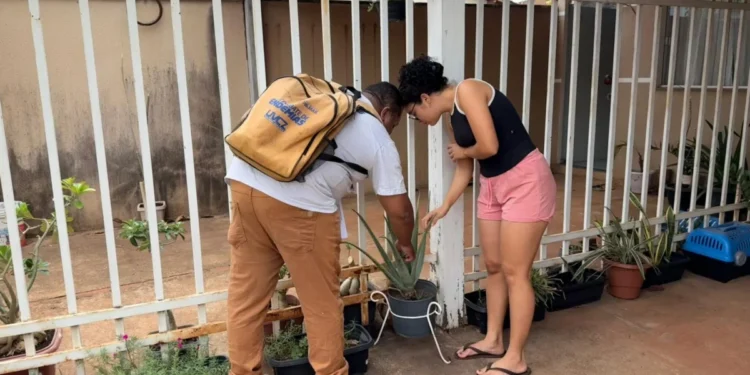 Como estratégia de prevenção das arboviroses, a Prefeitura de Palmas iniciou a campanha Vetor Zero, nesta terça-feira, 23 – Foto Divulgação