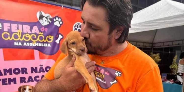 Deputado é referencia na atuação em defesa dos animais
Foto: Divulgação