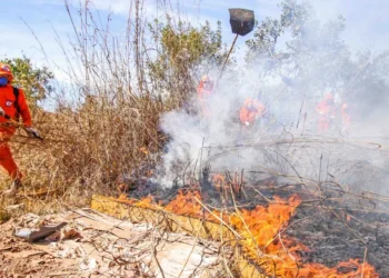 No Tocantins, a simulação ocorrerá em Palmas, Araguaína, Gurupi e Talismã (Crédito foto: Luiz Henrique Machado/Governo do Tocantins)