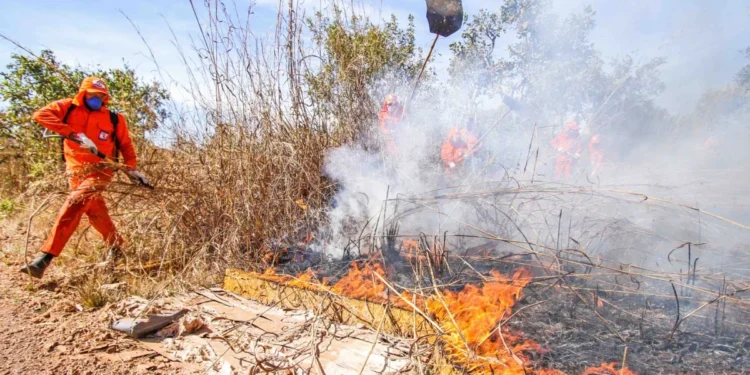 Tocantins participa de simulado nacional do sistema “Defesa Civil Alerta” neste sábado, 13