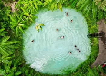 Entre os atrativos naturais do Jalapão, destacam-se os fervedouros, nascentes de águas cristalinas que impedem o corpo de afundar (Setur/Governo do Tocantins)