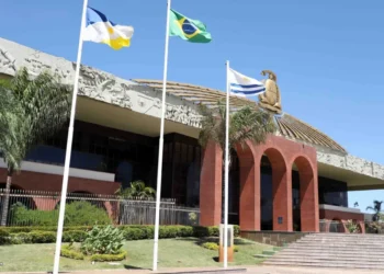 Medida Provisória (MP) que institui o Programa de transferência de renda e segurança alimentar do Tocantins foi publicada no Diário Oficial do Estado (DOE) desta segunda-feira, 1º de setembro  - Crédito: Aldemar Ribeiro/Governo do Tocantins