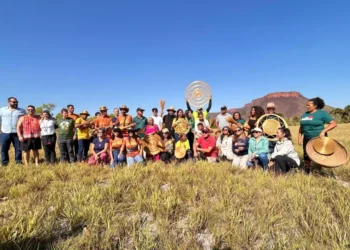 Visitantes tiveram a oportunidade de vivenciar o processo de coleta e de se conectar com a cultura local - Foto: Kleidiane Araújo/Governo do Tocantins