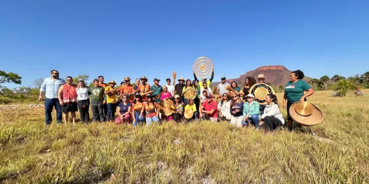 Festa da Colheita: Naturatins celebra tradição e sustentabilidade em visita a campo do capim-dourado no Jalapão