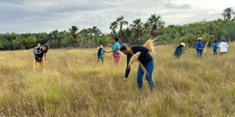 Durante a ação o Mascote Mandu, o Guardião do Cerrado, foi apresentado para os estudantes - Foto: Naturatins/Governo do Tocantins