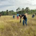Durante a ação o Mascote Mandu, o Guardião do Cerrado, foi apresentado para os estudantes - Foto: Naturatins/Governo do Tocantins