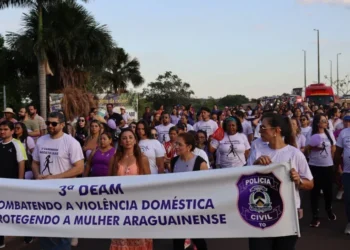 Caminhada seguiu até a Via Lago e reuniu centenas de pessoas - Foto: João Guilherme Lobasz/Governo do Tocantins
