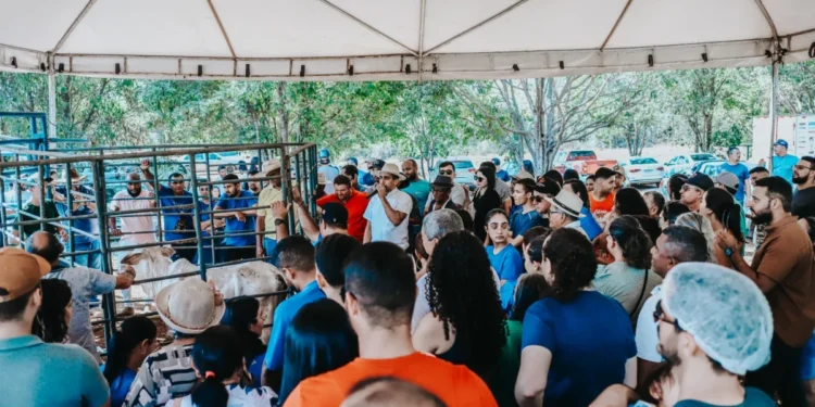 O recurso arrecadado no evento será destinado para climatização da igreja matriz