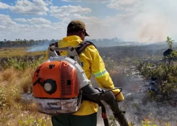 Assim que acionada, a brigada do PEJ se deslocou imediatamente até a área atingida e realizou o combate - Foto: Naturatins/Governo do Tocantins
