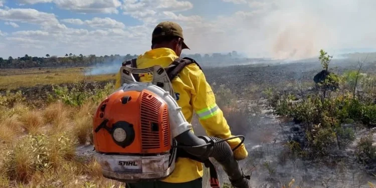 Naturatins mobiliza equipes no Jalapão em decorrência de incêndio em campo de capim-dourado