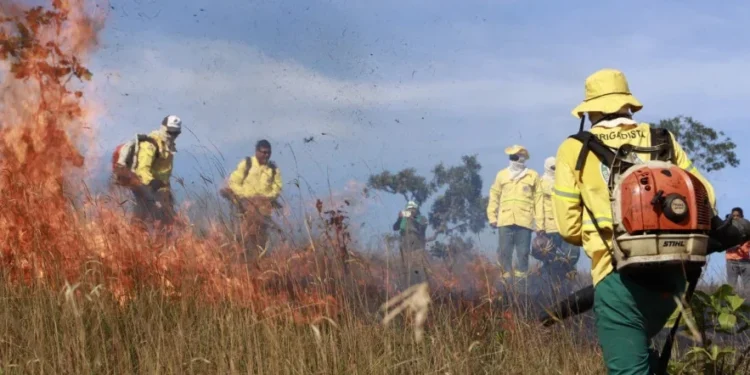 Naturatins destaca atuação nas Unidades de Conservação na prevenção e combate a incêndios