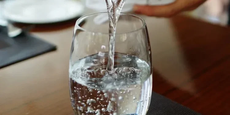 Imagem - divulgacao internet