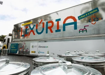 Créditos - Pérola Dutra