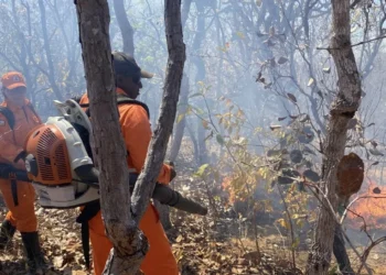 Fotos: Divulgação CBMTO