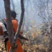 Bombeiros e brigadistas atuam em controle de queimadas em Paranã