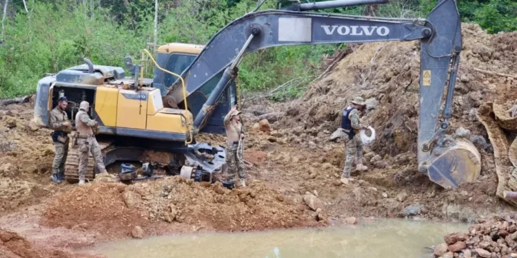Operação ocorreu em conjunto com o Ibama, no município de Cachoeira do Piriá, nordeste do Pará. • Divulgação/Polícia Federal do Pará