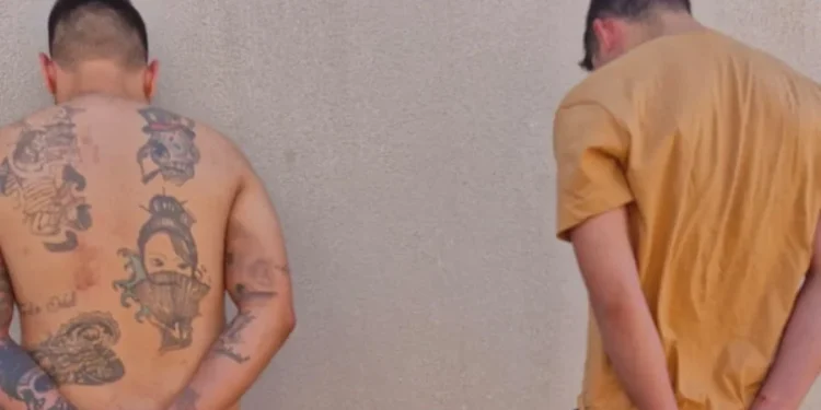 No Sul do Estado, Polícia Civil prende dois homens suspeitos de integrar organização criminosa especializada na prática de furtos