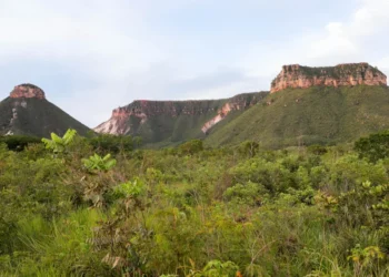 Relatório de Contestação gerado após registro das contestações no Siseco deverá ser inserido na impugnação do IPM – Provisório – Foto Marcel de Paula/Governo do Tocantins