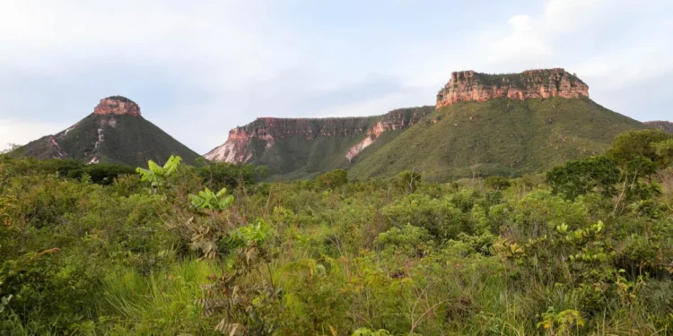 Aberto o prazo de trinta dias corridos para contestação do Questionário do ICMS Ecológico 2024 no Sistema Siseco
