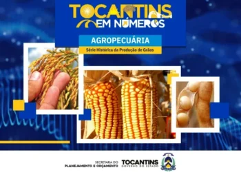 A safra de grãos 2024/205 consolida o Tocantins como o maior produtor da Região Norte do Brasil - (Crédito foto: Governo do Tocantins)
