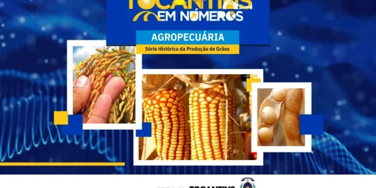 A safra de grãos 2024/205 consolida o Tocantins como o maior produtor da Região Norte do Brasil - (Crédito foto: Governo do Tocantins)