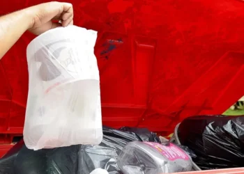 Trabalho trata da minuta de resolução sobre o uso de contêineres na coleta pública de resíduos sólidos domiciliares no município – Foto Lia Mara