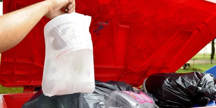 População já pode acessar consulta pública sobre uso de contêineres na coleta de resíduos domiciliares em Palmas