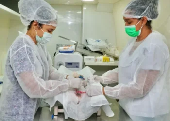 Fotos: Divulgação/Secom Gurupi