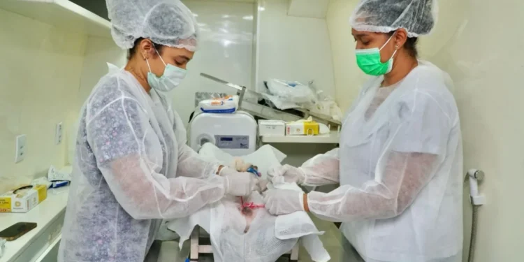 Prefeitura realiza ação de prevenção à leishmaniose com castração, coleiras, testes e vacina antirrábica no Setor Industrial