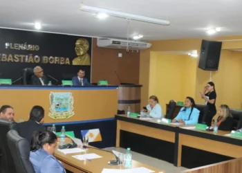 Várias matérias movimentam sessão legislativa em Miracema