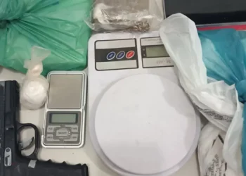 Foto: Divulgação PCTO