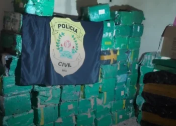 Dois são presos e duas toneladas de maconha são apreendidas em MG