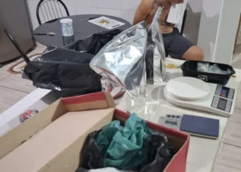 As investigações terão continuidade para identificar outros envolvidos. Foto: Divulgação PCTO