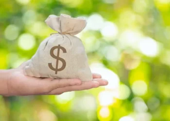 Parte do dinheiro depositado deve ser usada em empréstimos para agricultores, como determina a lei — Foto: jcomp/Freepik