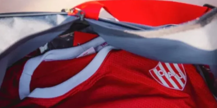 Pesquisa brasileira usa nanotecnologia para aumentar eficiência de sementes